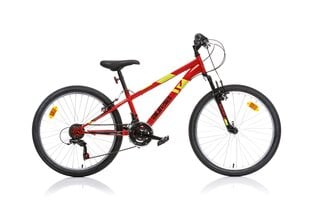 Детский велосипед Aurelia 424U Ring 24", красный цена и информация | Велосипеды | hansapost.ee
