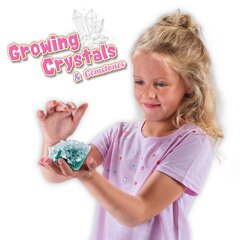 Выращивание кристаллов SES  цена и информация | Игрушки для девочек | hansapost.ee