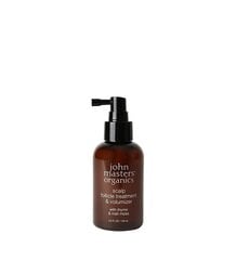 Volüümi andev juuksevahend John Masters Organics Deep Scalp Follicle Treatment & Volumizer, 125 ml hind ja info | Juuksemaskid, õlid ja seerumid | hansapost.ee