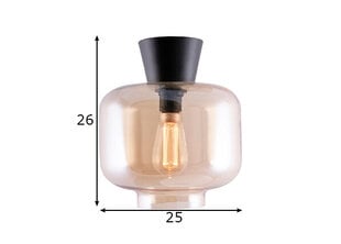 Laelamp Ritz, amber 891062555 цена и информация | Потолочные светильники | hansapost.ee