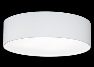 Потолочный светильник Maat, белый, 4x 40 Вт цена и информация | Потолочные светильники | hansapost.ee