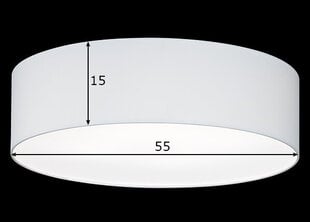 Потолочный светильник Maat, белый, 4x 40 Вт цена и информация | Потолочные светильники | hansapost.ee