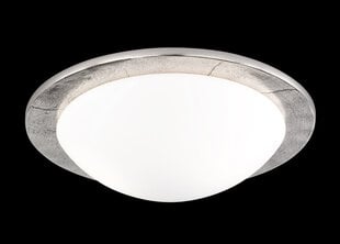 Потолочный светильник Fischer&Honsel Nantes цена и информация | Потолочные светильники | hansapost.ee