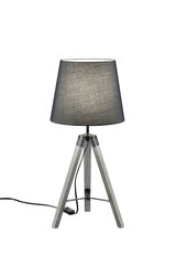 Настольный светильник Tripod Е27, серый цена и информация | Настольная лампа | hansapost.ee