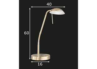 Laualamp Pool TW LED, messing, 5 W/530 lm hind ja info | Laualambid | hansapost.ee