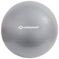 Võimlemispall Schildkrot 55 cm, hall price and information | Gymnastics balls | hansapost.ee