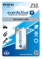 everActive 9V "Ready to Use" patarei hind ja info | Patareid | hansapost.ee