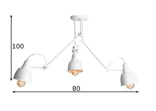 Потолочный светильник Aida, белый цена и информация | Потолочный светильник, 38 x 38 x 24 см | hansapost.ee