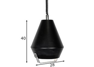 Потолочный светильник Lift Me, черный цена и информация | Люстры | hansapost.ee