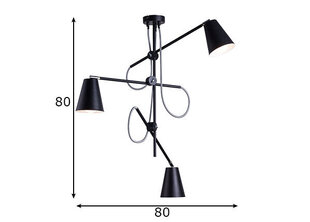 Потолочный светильник Arte черный. цена и информация | Потолочные светильники | hansapost.ee