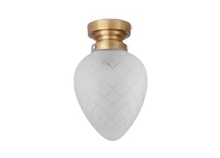 Vannitoa laelamp Juni, valge price and information | Ceiling lamps | hansapost.ee