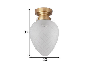 Vannitoa laelamp Juni, valge price and information | Ceiling lamps | hansapost.ee