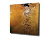 Reproduktsioon Lady with Fan (Gustav Klimt) hind ja info | Seinapildid | hansapost.ee