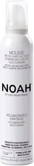 Пена для волос с миндальным маслом Noah 250 мл цена и информация | Noah Духи, косметика | hansapost.ee