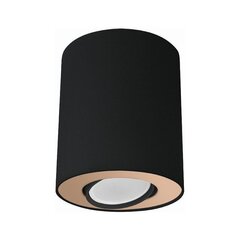 Nowodvorski Lighting потолочный светильник 8901 Set Black/Gold цена и информация | Потолочные светильники | hansapost.ee