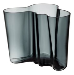 Iittala Aalto ваза 160 мм, опаловый белый цена и информация | Iittala Мебель и домашний интерьер | hansapost.ee