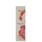 IDUN NORDIC VEIL JUMESTUSKREEM JORUNN 26ML hind ja info | Jumestuskreemid ja puudrid | hansapost.ee