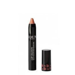 IDUN HUULEPULK-PLIIATS LIP CRAYON ANNI-FRID 2,5G hind ja info | Huulekosmeetika | hansapost.ee