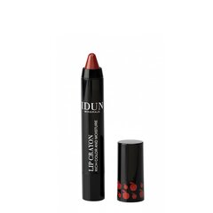 IDUN HUULEPULK-PLIIATS LIP CRAYON BIRGIT 2,5G price and information | Huulekosmeetika | hansapost.ee