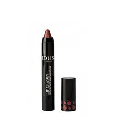 IDUN HUULEPULK-PLIIATS LIP CRAYON JENNY 2,5G hind ja info | Huulekosmeetika | hansapost.ee