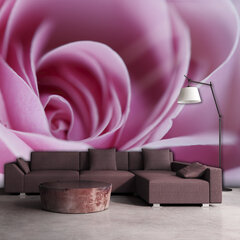 Fototapeet - Pink rose цена и информация | Фотообои | hansapost.ee