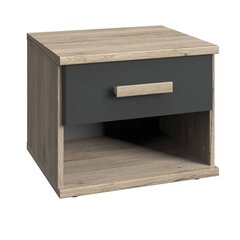 Öökapp Cariba, pruun/hall price and information | Nightstands | hansapost.ee