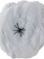 Ämblikuvõrk цена и информация | Kostüümid ja maskid | hansapost.ee