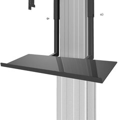 Neomounts by NewStar PLASMA-M2250KEYB цена и информация | Кронштейны и крепления для телевизоров | hansapost.ee