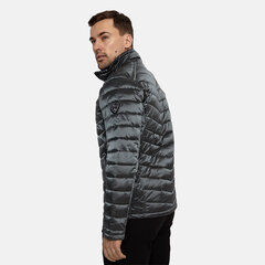 Мужская куртка Huppa STEFAN, серая, 907157526 цена и информация | Мужские куртки | hansapost.ee