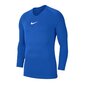 Termosärk Nike Dry Park First Layer M AV2609-463, 48396 цена и информация | Soe pesu meestele | hansapost.ee