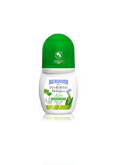 I Provenzali Aaloe orgaaniline rulldeodorant 50 ml hind ja info | I Provenzali Parfüümid, lõhnad ja kosmeetika | hansapost.ee