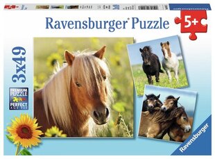 Ravensburger pusle 3x49 tk Hobused hind ja info | Pusled lastele ja täiskasvanutele | hansapost.ee