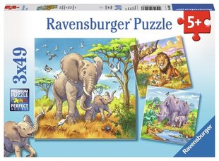 Ravensburger pusle 3x49 tk Metsloomad hind ja info | Pusled lastele ja täiskasvanutele | hansapost.ee