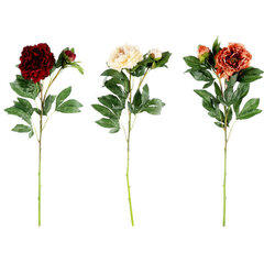 Искусственный цветок Peony Branch 3 разные цена и информация | Искусственные цветы | hansapost.ee