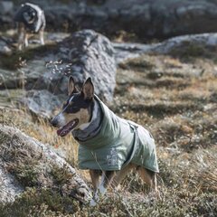 HURTTA куртка EXTREME WARMER ECO 40, зеленый цена и информация | Одежда для собак | hansapost.ee