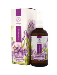 Naturaalne lavendlivee hüdrolaadi sprei Aromatika, 100 ml hind ja info | Aromatika Parfüümid, lõhnad ja kosmeetika | hansapost.ee