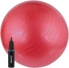 Joogapall Avento pumbaga, 65cm, punane hind ja info | Võimlemispallid | hansapost.ee