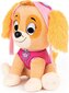 Paw Patrol pehme mänguasi Skye, 22 cm цена и информация |  Pehmed mänguasjad ja kaisukad | hansapost.ee