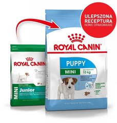 Royal Canin väikeste kutsikate jaoks Mini junior, 4 kg hind ja info | Koerte kuivtoit ja krõbinad | hansapost.ee