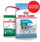 Royal Canin väikeste kutsikate jaoks Mini junior, 4 kg цена и информация | Koerte kuivtoit ja krõbinad | hansapost.ee