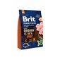 Brit Premium by Nature Sport koeratoit 15 kg цена и информация | Koerte kuivtoit ja krõbinad | hansapost.ee