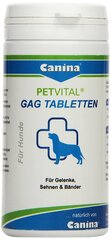 Canina таблетки Petvital GAG N90 цена и информация | Витамины, добавки, средства от паразитов для собак | hansapost.ee