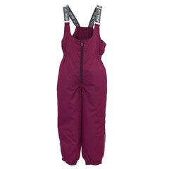 Huppa детские зимние штаны FUNNY, бордовый  907143480 цена и информация | Зимняя одежда для детей | hansapost.ee