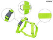 Reguleeritavad traksid Amiplay Guard Samba, L, Green цена и информация | Koerte kaelarihmad ja traksid | hansapost.ee