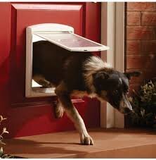 PETSAFE LUUK STAYWELL® ORIGINAL L VALGE hind ja info | Transpordipuurid, -kotid ja aedikud | hansapost.ee