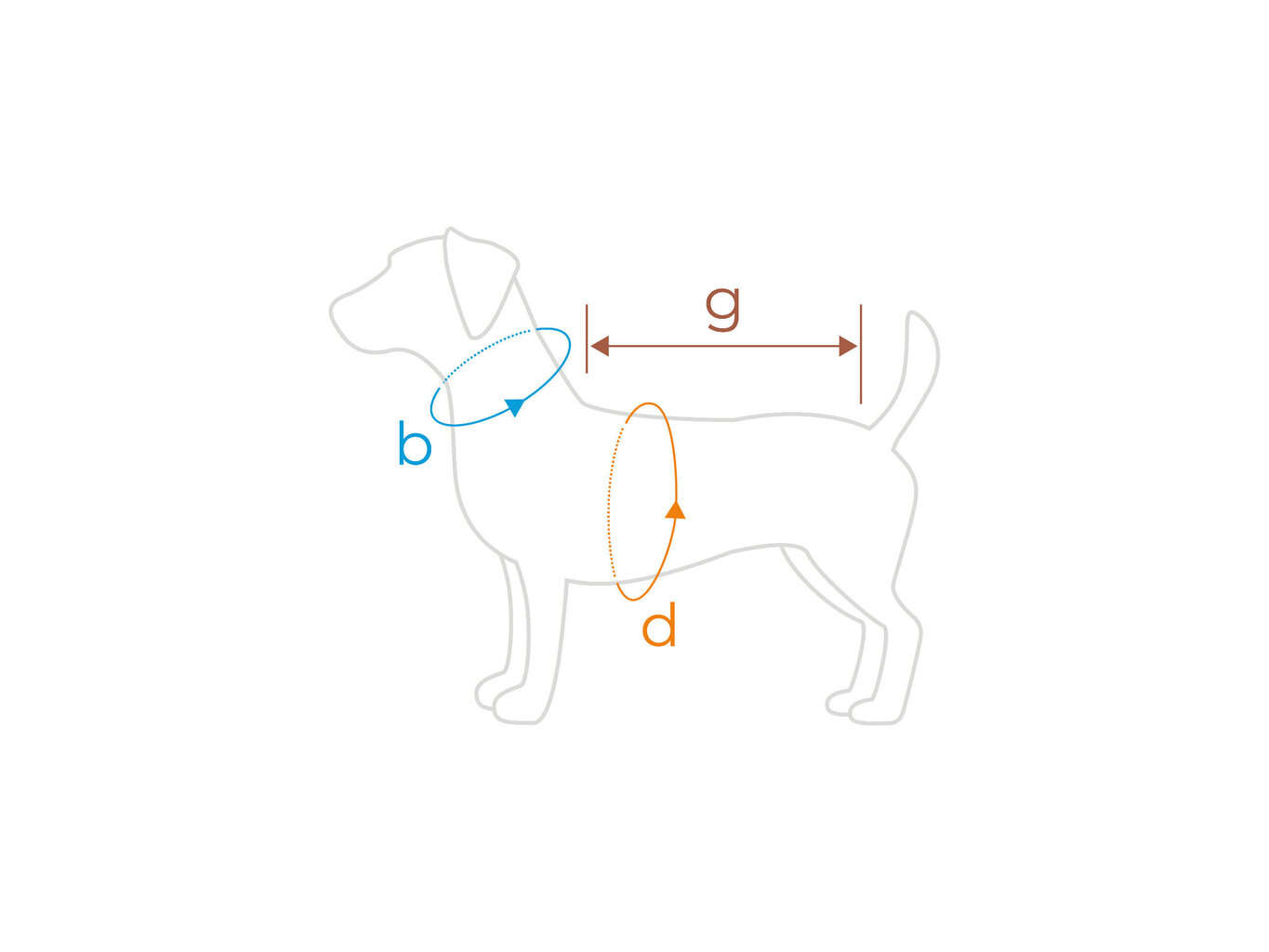 Koerte T-särk Amiplay Polo Oxford Yorkshire Terrier, S, punane hind ja info | Koerte riided | hansapost.ee