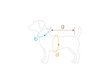 Koerte T-särk Amiplay Polo Oxford Yorkshire Terrier, S, punane hind ja info | Koerte riided | hansapost.ee