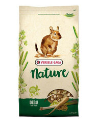 Versele Laga полноценный корм для дегу Degu Nature, 2,3 кг цена и информация | Корм для грызунов | hansapost.ee