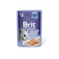 Konserv kassidele Brit Premium Cat Delicate Salmon in Jelly 85g x 24 tk hind ja info | Kassikonservid | hansapost.ee