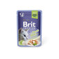 Konserv kassidele Brit Premium Cat Delicate Trout in Jelly 85g x 24 tk цена и информация | Kassikonservid | hansapost.ee